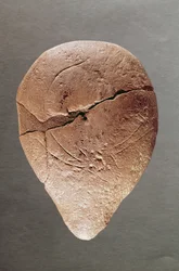 Lampa dekorerad med en stenbock, från Dordogne, c.12000 f.Kr